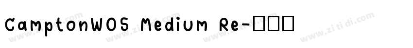 CamptonW05 Medium Re字体转换